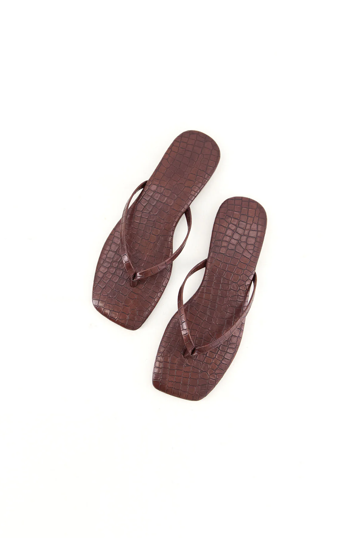 EMBOSSED CROC SLIDES - Image 4